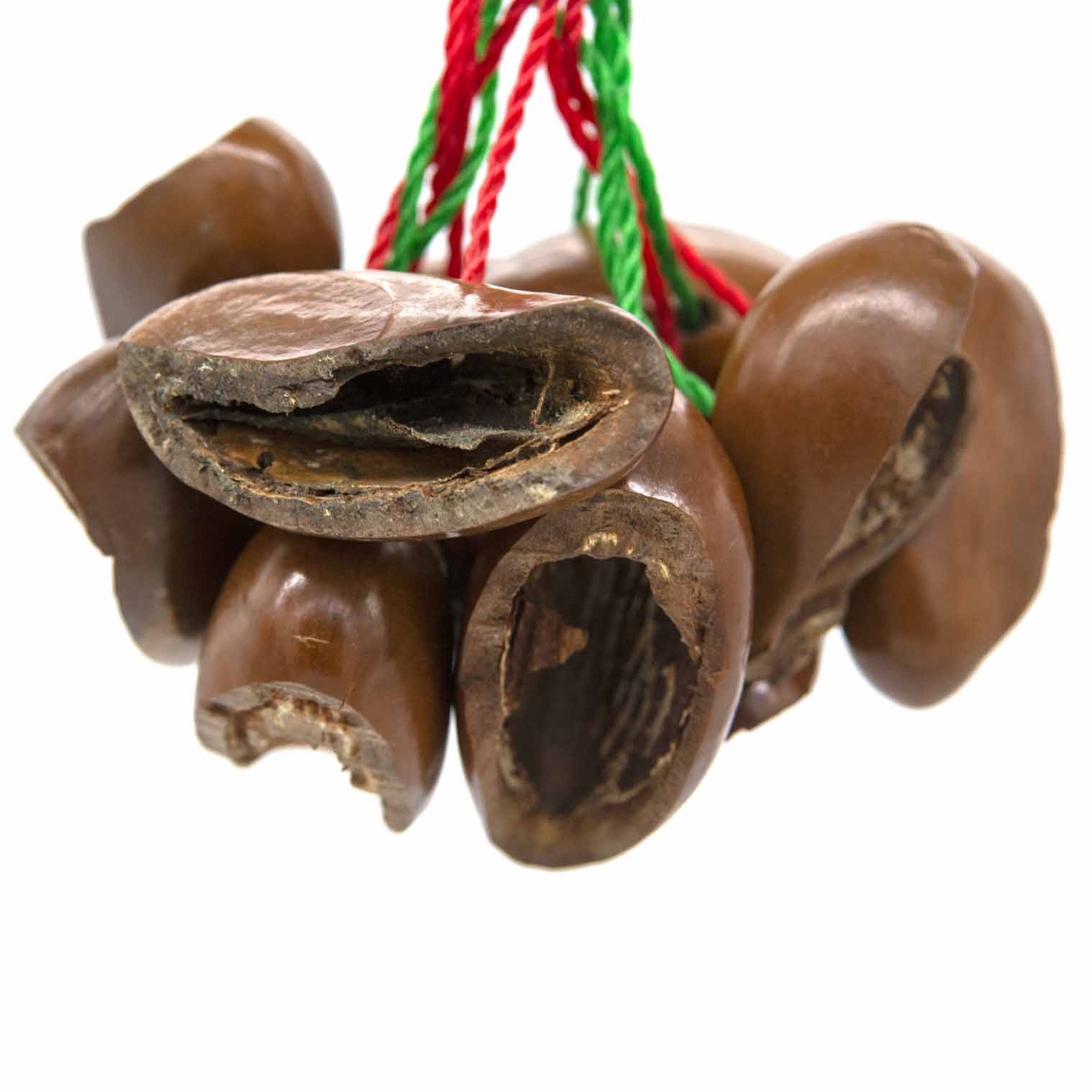 Kola Nut Shaker-Siesta Crafts
